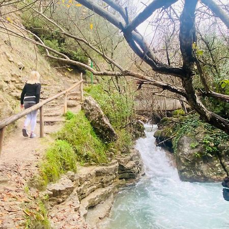 Apartamento Rural La Leyenda El Bosque Dış mekan fotoğraf
